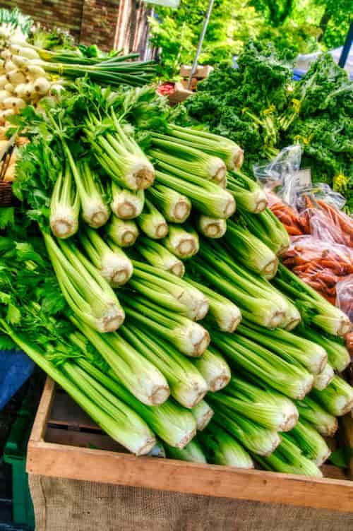 کرفس تازه شسته‌ شده مناسب مصرف سریع خانگی